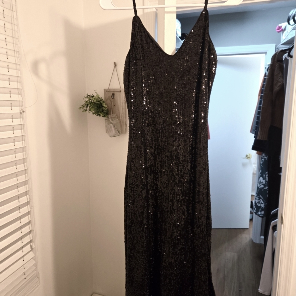 Express sequin dress